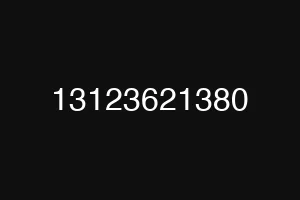 13123621380