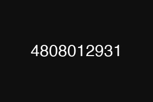 4808012931