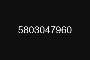 5803047960
