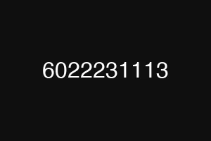 6022231113