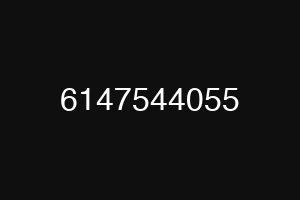 6147544055