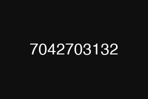 7042703132