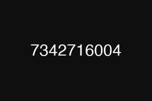 7342716004