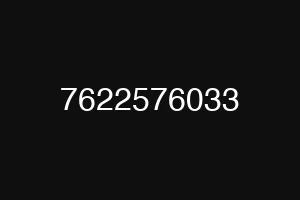 7622576033