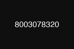 8003078320