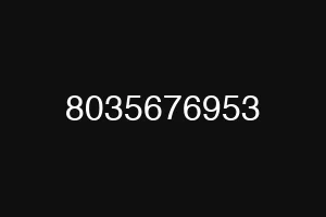8035676953