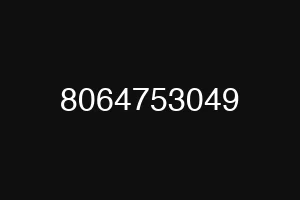 8064753049