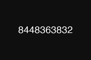 8448363832