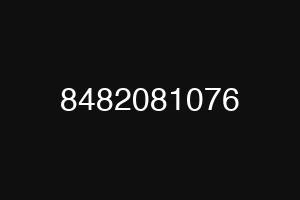 8482081076