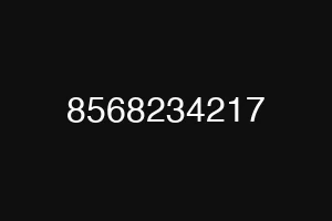 8568234217