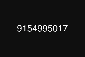 9154995017
