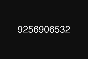 9256906532