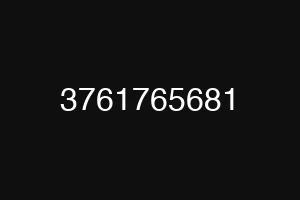 3761765681