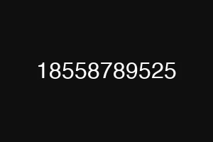 18558789525