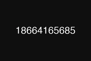 18664165685