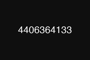 4406364133