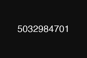 5032984701