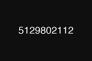 5129802112
