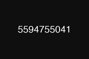 5594755041