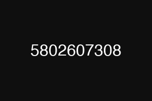 5802607308