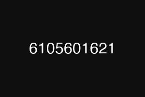 6105601621