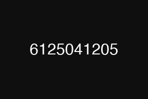 6125041205