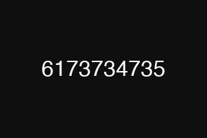 6173734735