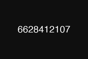 6628412107