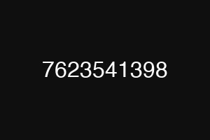 7623541398
