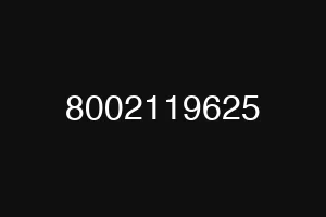 8002119625