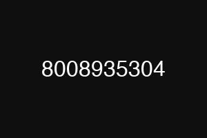 8008935304