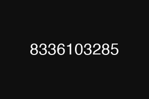 8336103285