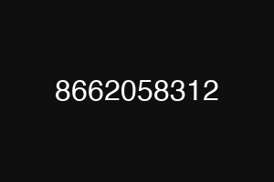 8662058312