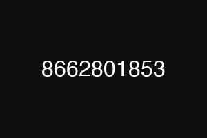 8662801853