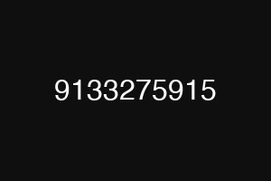 9133275915