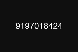 9197018424