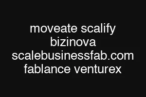 moveate scalify bizinova scalebusinessfab.com fablance venturex