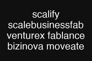 scalify scalebusinessfab venturex fablance bizinova moveate